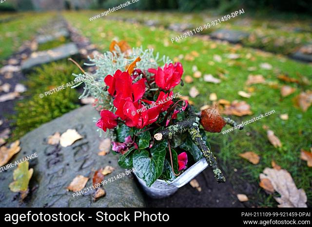 04 November 2021, Hamburg: War graves can be seen at the Ohlsdorf cemetery. Photo: Marcus Brandt/dpa. - Hamburg/Hamburg/Germany