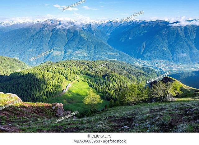 Europe, Italy, Trentino Alto Adige, Trento district, Non valley, Mountain Peller, natural Park Adamello Brenta