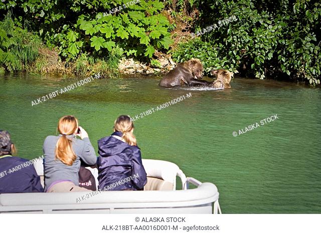 Guests of Redoubt Bay Lodge view Grizzly bears from pontoon boat in Wolverine Cove on Big River Lakes in Redoubt Bay State Critical Habitat Area, Southcentral