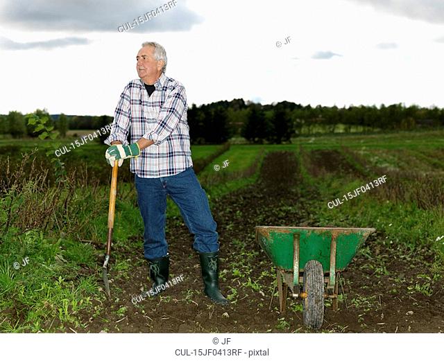 Mature man with shovel