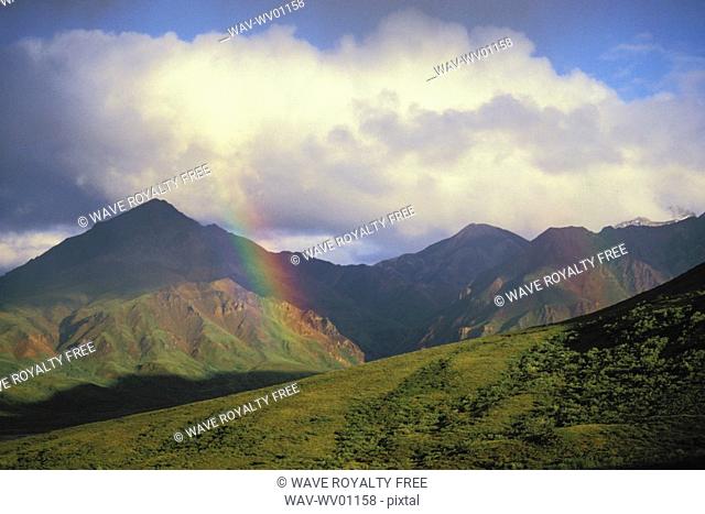 Rainbow appears after storm Denali National Park, Alaska