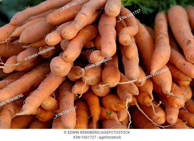 Carrots at farmer's market