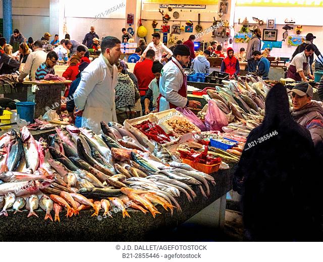Morocco, Tangier, Fish market at Tangier