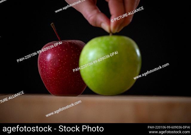 PRODUCTION - 28 December 2021, Baden-Wuerttemberg, Stuttgart: ILLUSTRATION - A man holds an apple of the Granny Smith variety in front of an apple of the Gala...