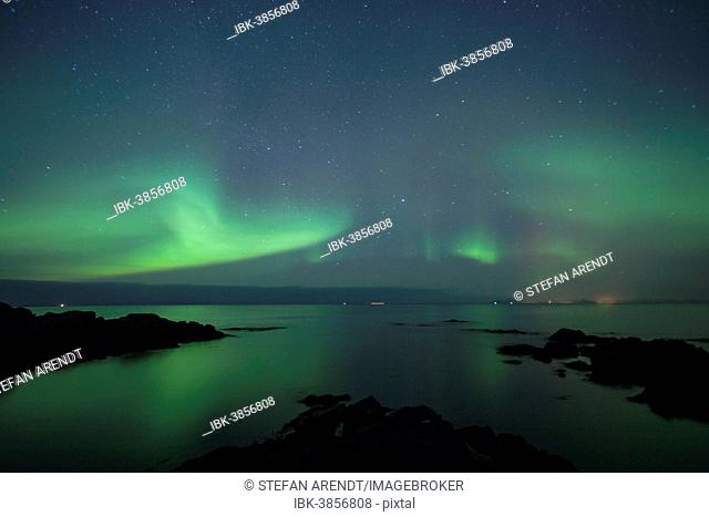 Northern lights, aurora borealis, on a winter's night on the coast of Hov, Lofoten, Norway