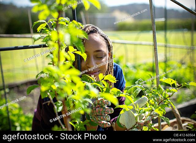 Happy young woman smelling plant in sunny garden