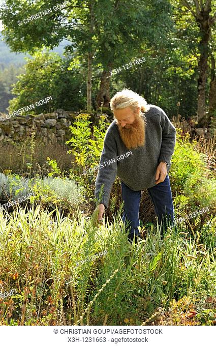 Philippe Demoisson, farmer and gatherer of aromatic and medicinal herbs in the village of Saint-Bonnet-le-Bourg, Livradois-Forez Regional Nature Park