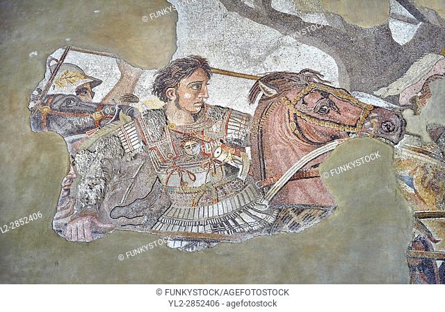 Alexander the Great from the Roman mosaic of Battle beween Alexander the Great and Persian King Darius, 120-125 BC, Casa del Fauno, Pompeii, inv 10020