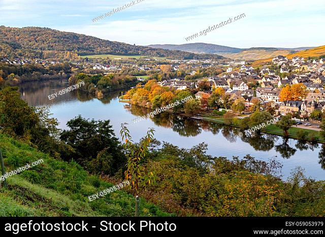 Scenic view at Bernkastel-Kues and the river Moselle valley in autumn with multi colored landscape on a sunny day