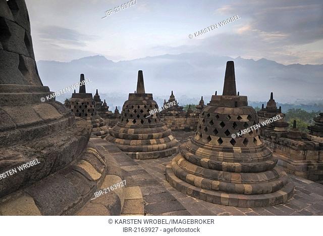 Stupas at dawn, Borobudur Buddhist Temple, Borobudur, Java, Indonesia, Southeast Asia, Asia