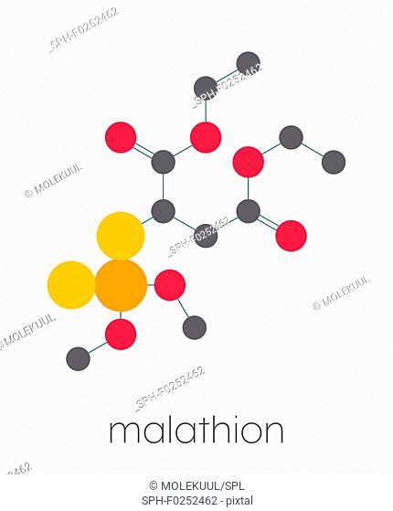 Malathion insecticide molecule. Used to treat head lice, body lice, scabies and in agriculture. Stylized skeletal formula (chemical structure)