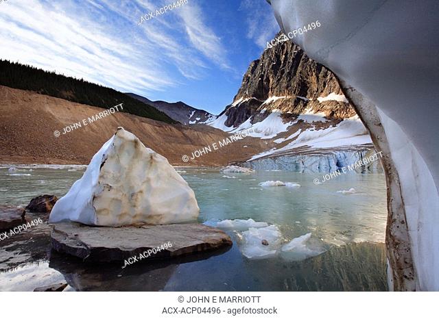 Icebergs on the shore of a meltwater lake below Angel Glacier and Mount Edith Cavell  Part of the Banff-Jasper Rocky Mountain World Heritage Site