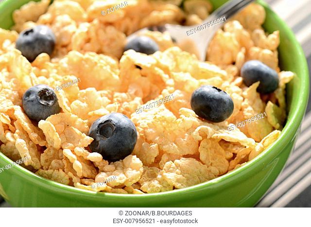 Bowl of Cereal with Blueberries Close Up