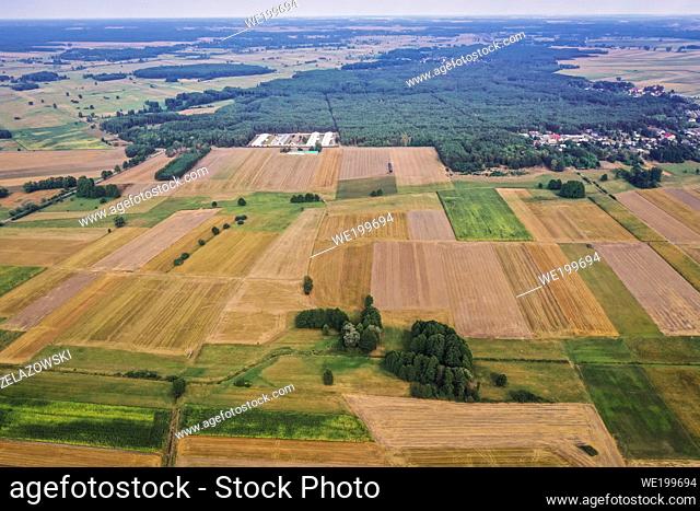 Aerial view of maize and rye fields in Wegrow County, Mazovian Voivodeship of Poland
