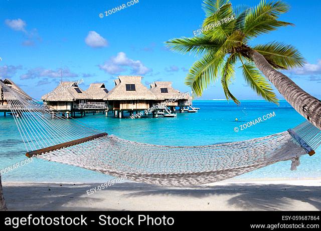 hammock and the dark blue sea
