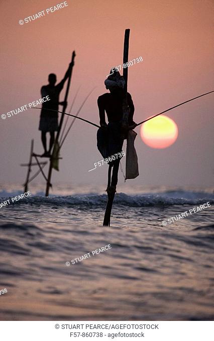 Stilt fishermen in Kogalla, Sri Lanka