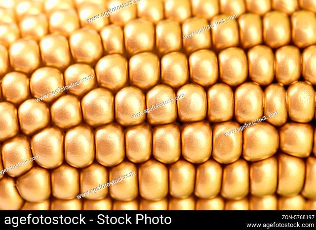 Background of golden corbcob. Macro. Whole background