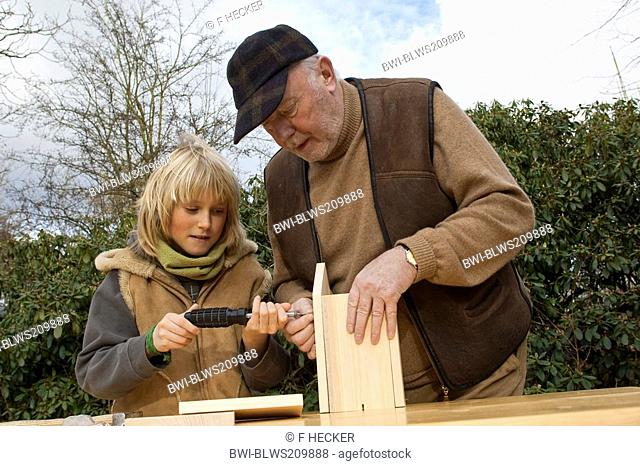 nest box construction, grandpa and grandson assembling wooden nest box , Germany