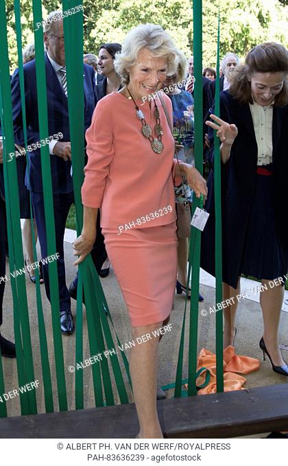 Princess Irene during the opening of the Museum VoorLinden on Voorlinden estate in Wassenaar, 10 September 2016. This new museum was created for modern and...