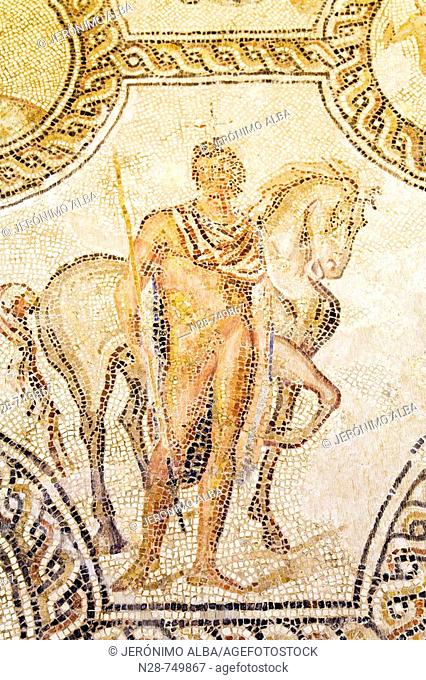 Roman mosaic preserved in the Benameji Palace now Municipal Museum of History, Ecija. Sevilla province, Andalucia, Spain