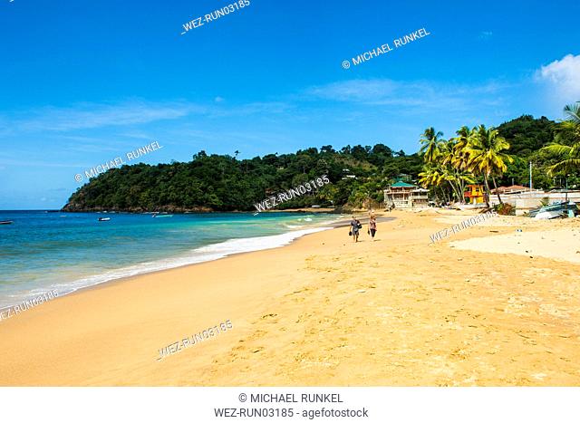 Vista panorámica de la playa de Castara contra el cielo azul durante el día soleado, Tobago, Caribe