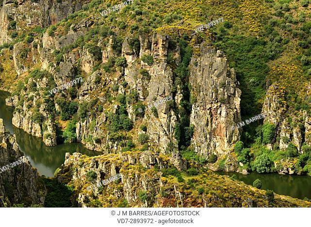 Duero canyon. Mirador de las Barrancas, Fariza, Parque Natural de los Arribes del Duero, Sayago, Zamora province, Castilla-Leon, Spain