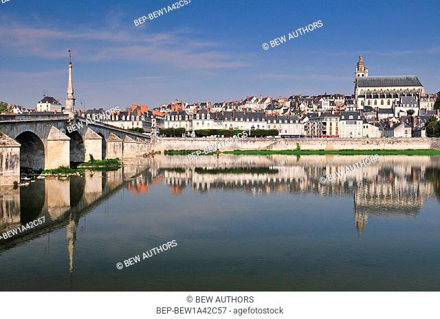 Old town of Blois in the Loire Valley France. The cathedral of St. Louis on top