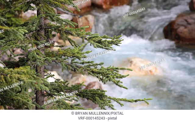 Tokkum Creek at Marble Canyon, Kootenay National Park, Canada, with high quality audio included