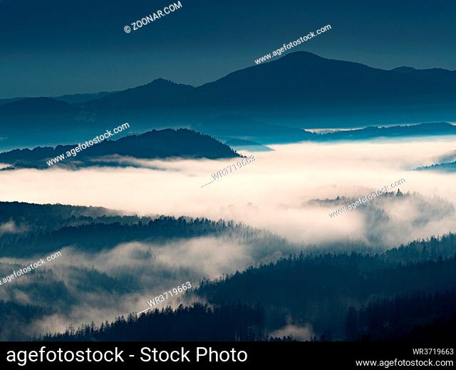Fairy sunrise in hilly forest landscape in the morning. Heavy mislky fog over the majestic pine forest