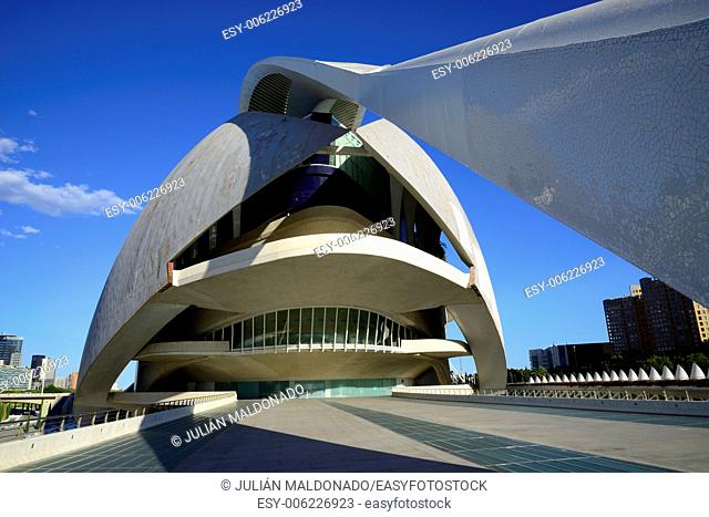 Palace of Arts Reina Sofia, City of Arts and Sciences in Valencia, Spain