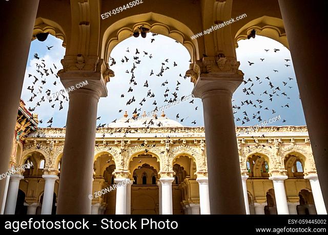 Flying doves at the palace of Madurai seen trough pillars, India