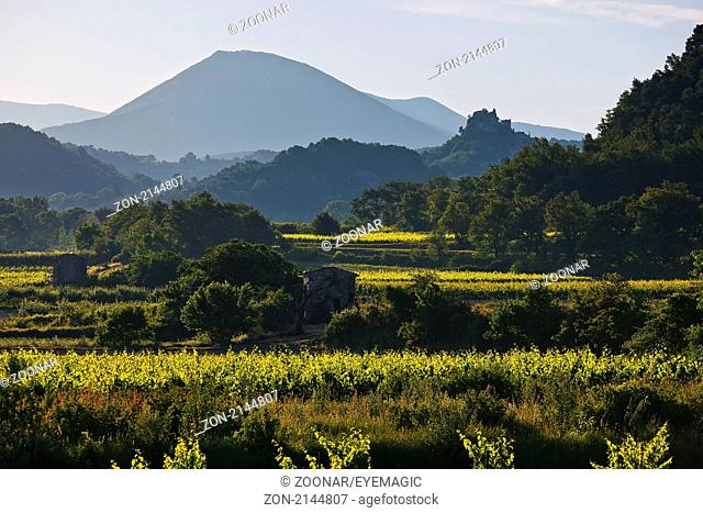 the vineyards from Entrechaux, Provence, France