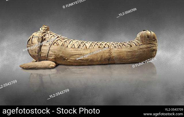 Ancient Egyptian mummy of the Roman Period - 1st cent BC to 2 cent AD. Egyptian Museum, Turin. grey background