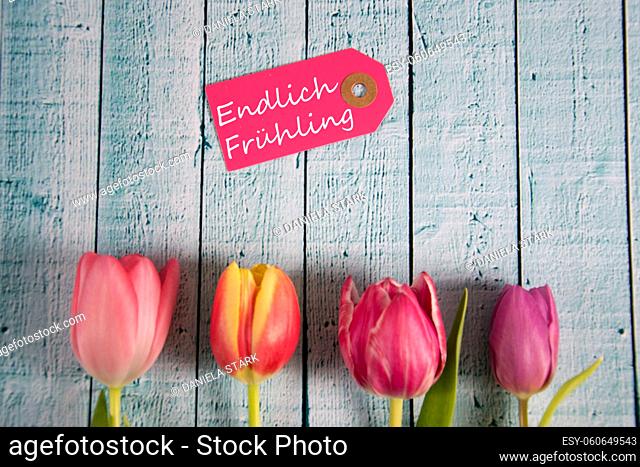 a colourful spring background