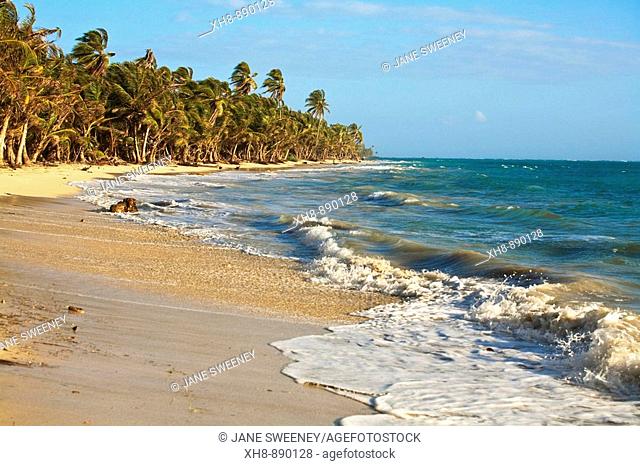 Iguana Beach, Little Corn Island, Corn Islands, Nicaragua