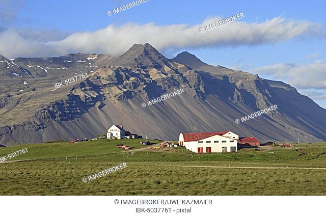 Farm and mountain scenery with eroded scree slope in the evening light near Höfn, East Iceland, Iceland, Europe