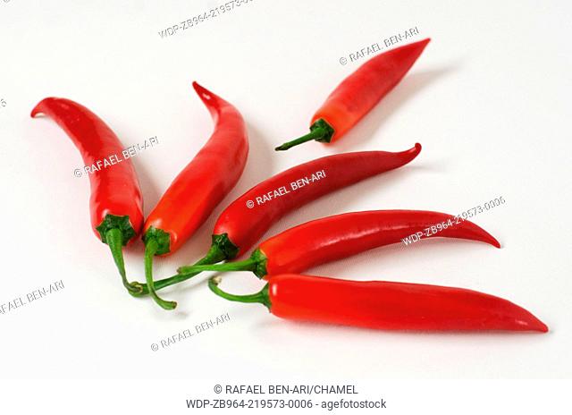 Hot red chilli peppers isolated on white background.Photo by NEWSCOM OUT