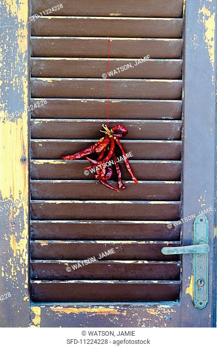 Dried red chillies hanging on a weathered wooden door
