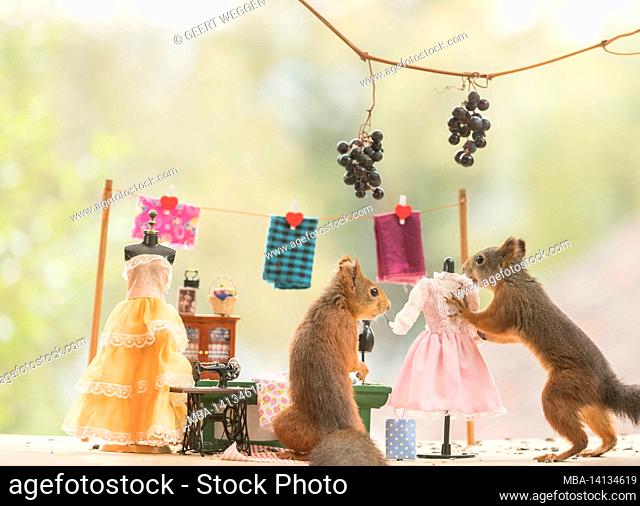 red squirrels in a cloth shop