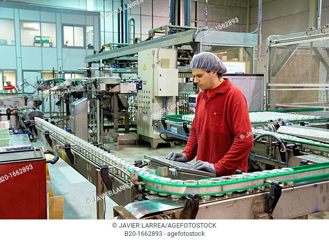 Labeling and packaging canned vegetables, Cans, Canning Industry, Agri-food, Logistics Center, Grupo Riberebro, Alfaro, La Rioja, Spain