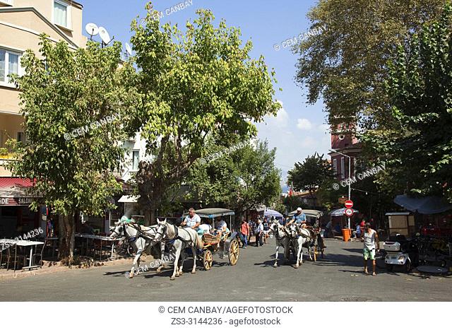Horse-carriage at the street in the town center, Heybeliada-Halki, Prince Islands, Marmara Sea, Istanbul, Turkey, Europe
