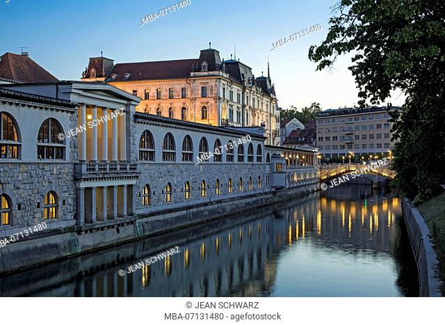 View of the Ljubljanica and adjacent buildings in Ljubljana, Slovenia