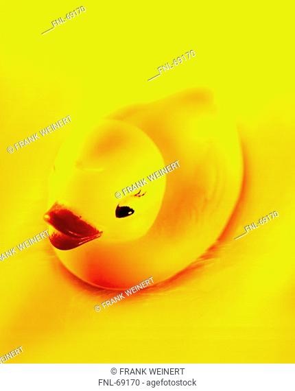 Close-up of rubber duck