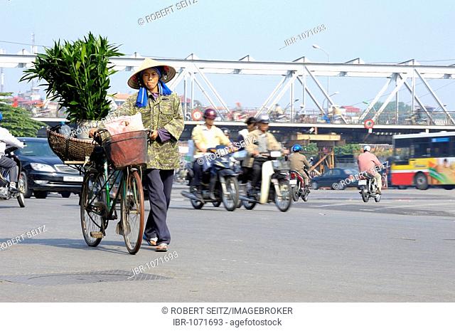 Vietnamese woman pushing a fully laden bike, Hanoi, Vietnam, Southeast Asia