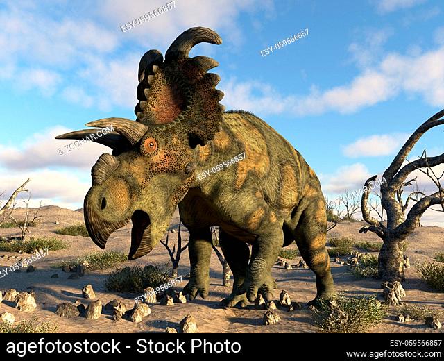 Albertaceratops dinosaur in the desert by day - 3D render