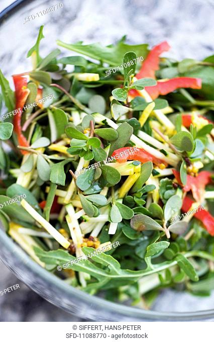 Summer salad with purslane and vegetables