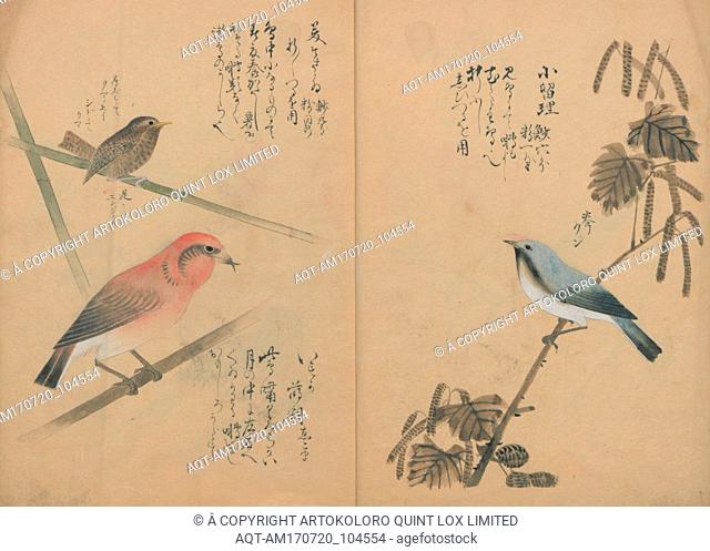 Kotori RuishÅ, A Compendium of Small Birds, Edo period (1615â€“1868), 1836, Japan, Polychrome woodblock printed book, 10 1/2 Ã— 7 3/4 Ã— 1/4 in. (26