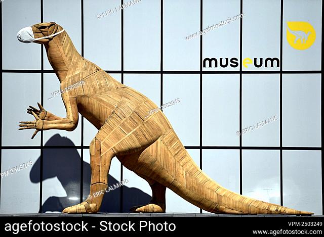 Illustration shows a giant dinosaur with a mask at a visit to the Natural Sciences Museum in Brussels, Monday 18 May 2020