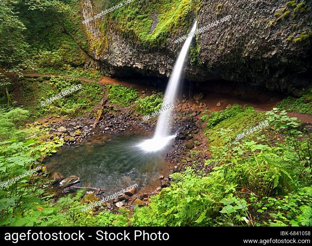 Ponytail Falls (Upper Horsetail) Falls, Columbia River Gorge, OR, USA, North America