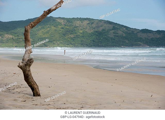 Beach, Nature, Ilha Grande, Rio de Janeiro, Brazil